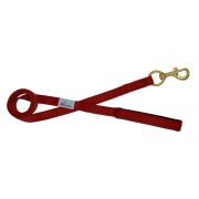 Leash seatbelt polyester with neoprene lining – OI01007/100/25/DR/01/K11