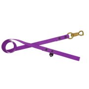 Leash PVC Waterproof Polypropylene – OI01009/100/25/PR/00/K08