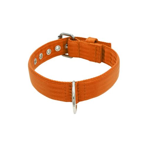 Triple-Polyamide Dog Collar 4cm Width – KI01002/60/40/OR/00