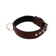 Collar de perro de poliamida y neopreno de 4 cm de ancho – KI01003/60/40/BR/01