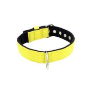 Collar de perro de poliamida y neopreno de 4 cm de ancho – KI01003/60/40/YL/01