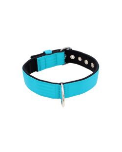 Dog Collar with Polyamide and Neoprene 4cm Width