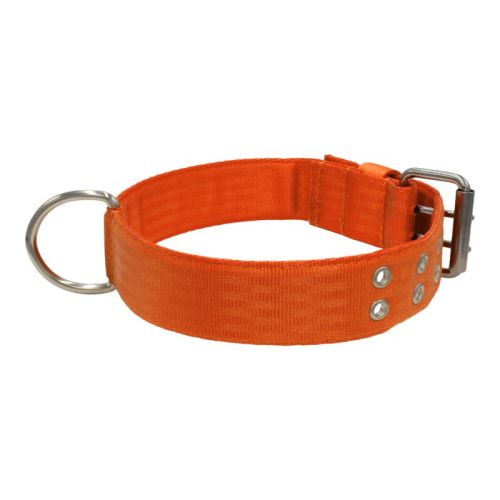 Collar de perro de poliamida con triple cincha, 5 cm – KI01004/65/50/OR/00