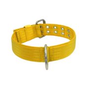 Dog Collar from Polyamide with Triple Strap, 5cm – KI01004/65/50/YL/00