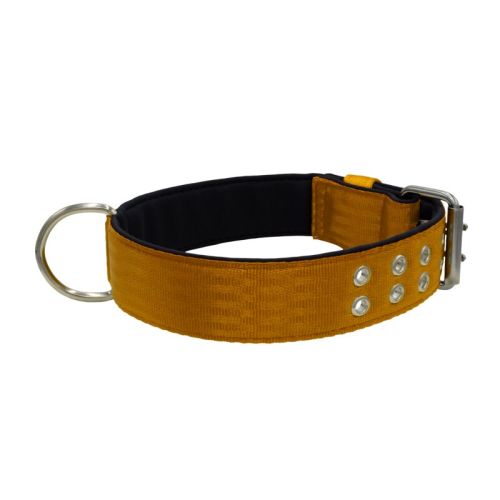 Collar de perro de poliamida con triple correa y 5 cm de neopreno – KI01005/65/50/BR/01