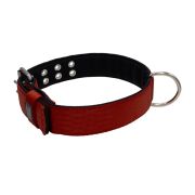 Collar de perro de poliamida con triple correa y 5 cm de neopreno – KI01005/65/50/DR/01