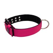 Collar de perro de poliamida con triple correa y 5 cm de neopreno – KI01005/65/50/FU/01