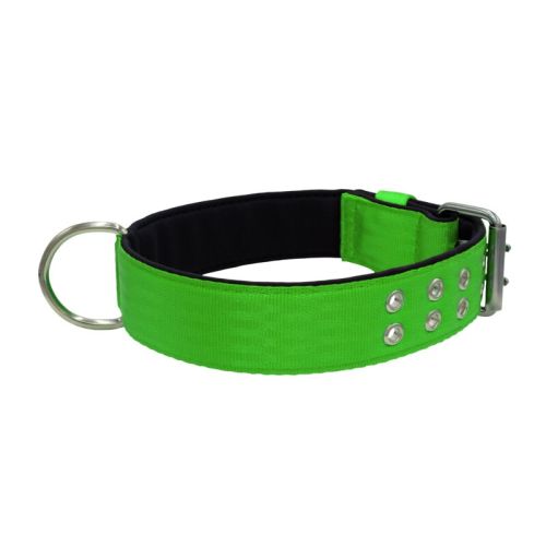 Collar de perro de poliamida con triple correa y 5 cm de neopreno – KI01005/65/50/LM/01