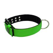 Collar de perro de poliamida con triple correa y 5 cm de neopreno – KI01005/65/50/LM/01