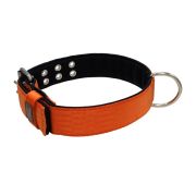 Collar de perro de poliamida con triple correa y 5 cm de neopreno – KI01005/65/50/OR/01