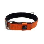 Collar de perro de poliamida con triple correa y 5 cm de neopreno – KI01005/65/50/OR/01