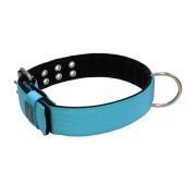 Collar de perro de poliamida con triple correa y 5 cm de neopreno – KI01005/65/50/TU/01