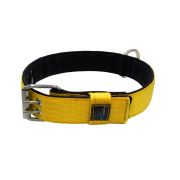 Collar de perro de poliamida con triple correa y 5 cm de neopreno – KI01005/65/50/YL/01