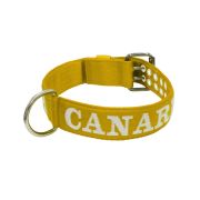 Dog Collar from Polyamide with Triple Strap and Embroidery, 5cm – KI01006/80/50/YL/00