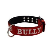 Dog Collar from Polyamide with Triple Strap, Embroidery, and Neoprene, 5cm Width – KI01007/65/50/DR/01