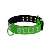 Dog Collar from Polyamide with Triple Strap, Embroidery, and Neoprene, 5cm Width – KI01007/65/50/LM/01