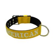 Dog Collar from Polyamide with Triple Strap, Embroidery, and Neoprene, 5cm Width – KI01007/65/50/YL/01