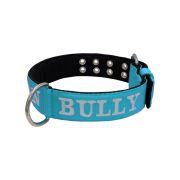 Dog Collar from Polyamide with Triple Strap, Embroidery, and Neoprene, 5cm Width – KI01007/75/50/TU/01