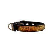 Collar de perro con correa de tela brillante de 2 cm y forro de neopreno – KI01012/40/20/OR/01