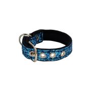 Collar de perro con tela brillante de 2,5 cm, cincha y forro de neopreno – KI01013/45/25/LB/01