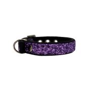 Collar de perro con tela brillante de 2,5 cm, cincha y forro de neopreno – KI01013/45/25/PR/01