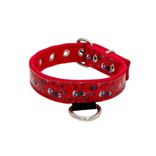 Collar de perro con doble correa de poliamida, acolchado de neopreno de 4 cm y bordado – KI01014/35/20/P1/04