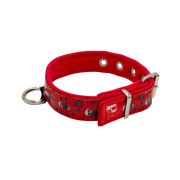 Collar de perro con doble correa de poliamida, acolchado de neopreno de 4 cm y bordado – KI01014/35/20/P1/04