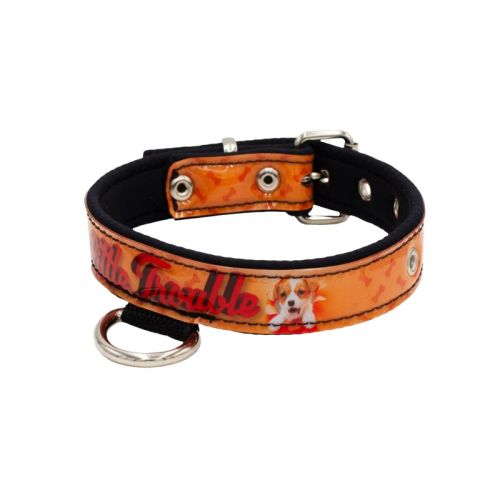 Collar de perro con impresión de vinilo y forro de neopreno – KI01016/50/30/P3/01