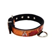 Collar de perro con impresión de vinilo y forro de neopreno – KI01016/70/40/P3/01