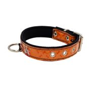 Collar de perro con impresión de vinilo y forro de neopreno – KI01016/70/40/P3/01