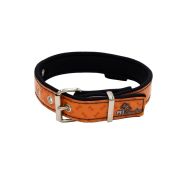 Collar de perro con impresión de vinilo y forro de neopreno – KI01016/70/40/P3/01