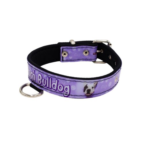 Collar de perro con impresión de vinilo y forro de neopreno (Bulldog francés) – KI01017/35/20/P4/01