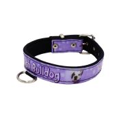 Collar de perro con impresión de vinilo y forro de neopreno (Bulldog francés) – KI01017/40/20/P4/01