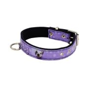 Collar de perro con impresión de vinilo y forro de neopreno (Bulldog francés) – KI01017/80/40/P4/01