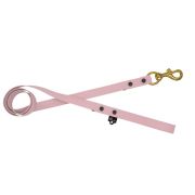 Waterproof Dog Leash with Small Cells – 100% Resistant to Water and Bacteria – OI01009/100/25/PI/00/K04