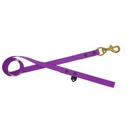 Waterproof Dog Leash with Small Cells – 100% Resistant to Water and Bacteria – OI01009/100/25/PR/00/K04