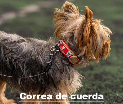 Correa-de-cuerda