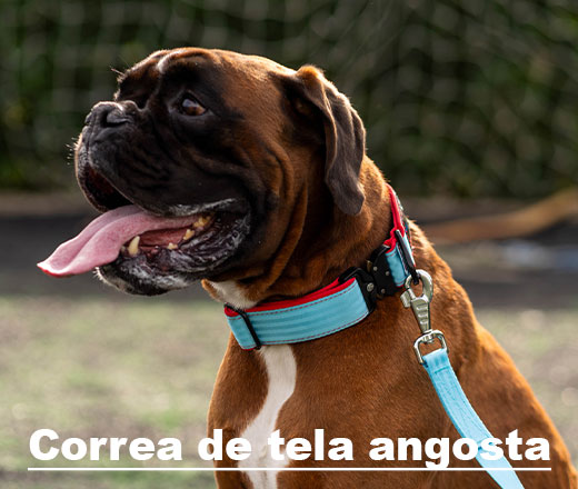 Correa-de-tela-angosta